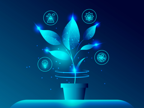 SAP FIORI SAP FIORI