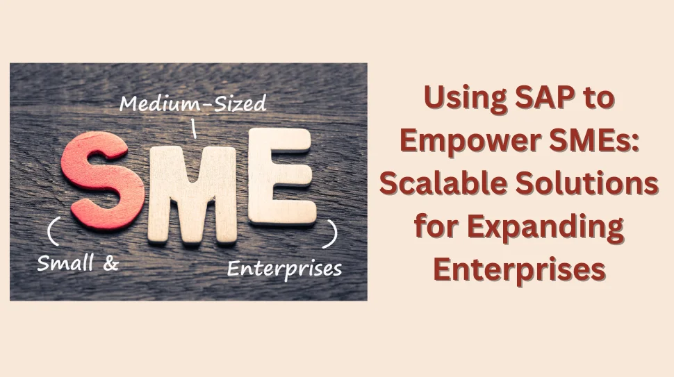 Using SAP to Empower SMEs Using SAP to Empower SMEs